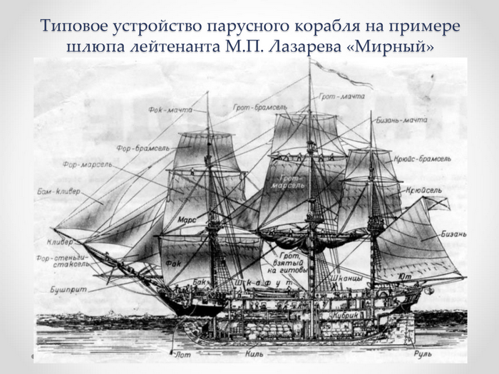 Типовое устройство парусного корабля на примере шлюпа лейтенанта М.П. Лазарева «Мирный»